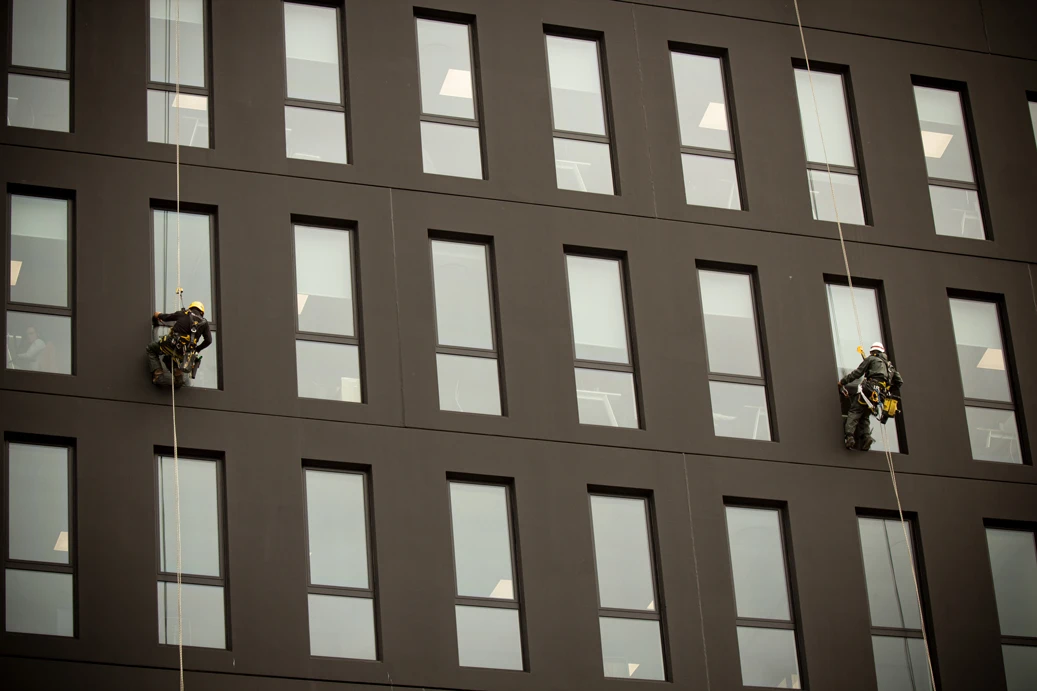 Intervention de cordistes MS Access pour vue dégagée chez BOR ROCADE à Villenave-d'Ornon (bâtiment) – 1